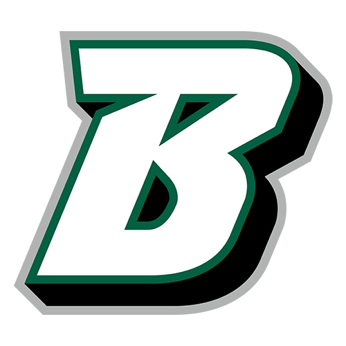 Binghamton Bearcats logo