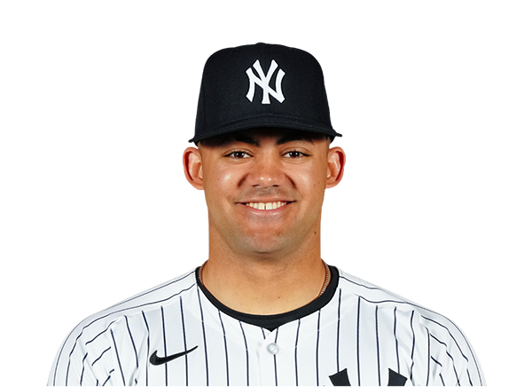 Jasson Dominguez headshot